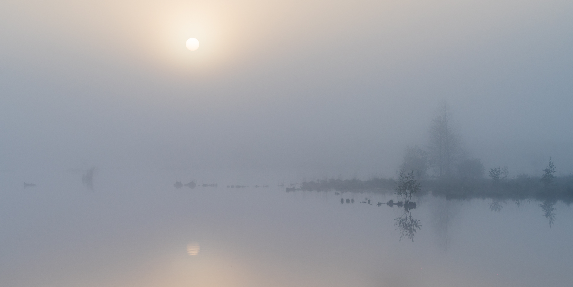 __foggy sunrise__