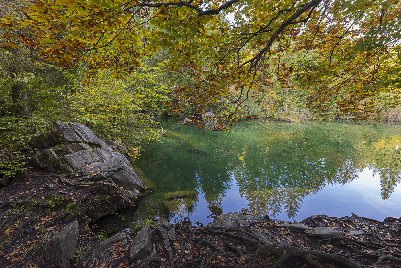 Herbstlicher Crestasee