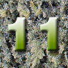 Weihnachtskugeln