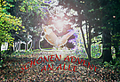 Schönen Advent an alle !!