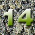 Das 14. Türchen