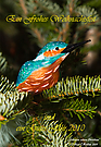 Ein frohes Weihnachtsfest