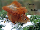 Guten Rutsch...