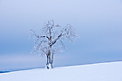 Winterabend