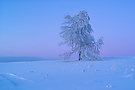 Winterabend
