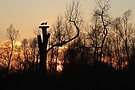 Aussichtsturm