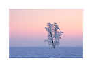 Morgenstimmung bei minus 22°C