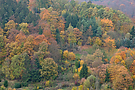 Indian Summer
