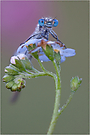 ~nice to see you~