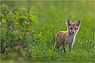 Neues entdecken