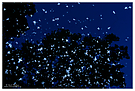 .... und tausend Silbersterne tanzen in der Nacht ....