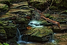 Weiche Wasser
