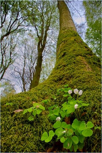 Bevor es Herbst wird ....