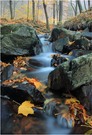 Herbst am Lockwitzbach