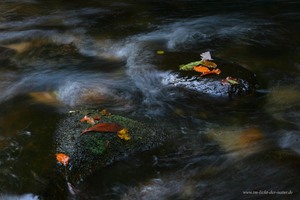 Langsam fließt der Herbst hinweg