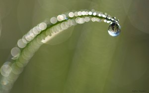 "Tropfenspielerei"