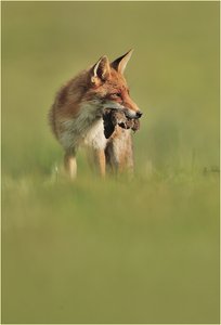 Grottiges Licht - aber Traumpose!