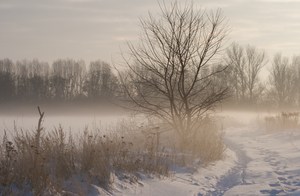 Winterweg