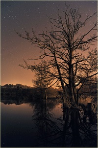 Jungferweiher bei Nacht