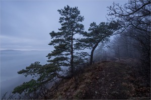 Ein trüber Morgen