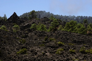 La Palma