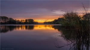 Goldenes Morgenlicht