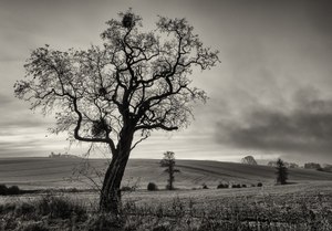 Aufziehender Regen