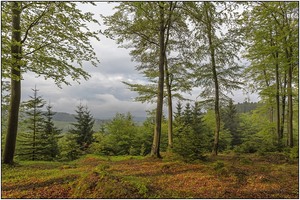 Der Regen drohte...