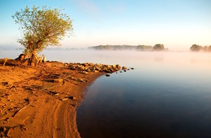 Nebel am Morgen