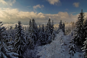 Früher Winter 2007