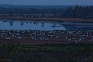 Raubbau an der Natur  2