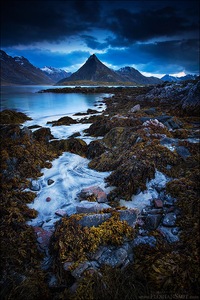 Lofoten