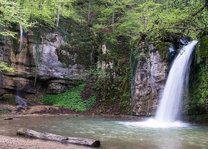 Im tiefen Wald