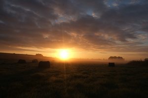 Sonnenaufgang in den Wiesen