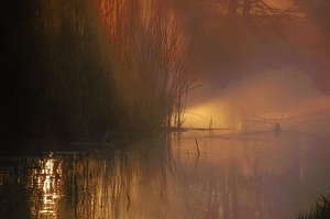 Sonnenaufgang im Sumpfgebiet 2