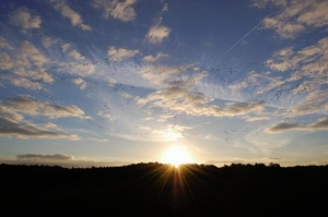 Sonnenaufgang im Herbst