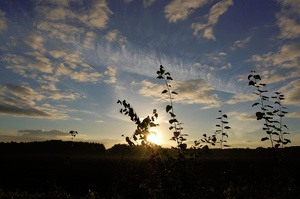 Sonnenaufgang im Herbst 2