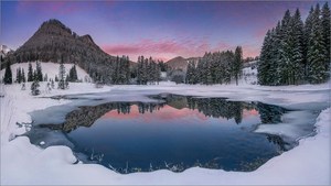 Häuslteich im Winterschlaf