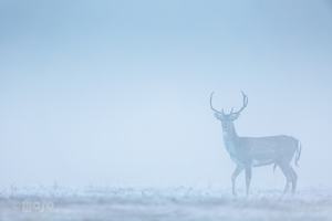 Winterlicher Herbst