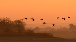 Früher Abflug