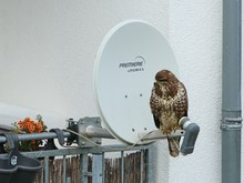 Heute kein Fernsehen