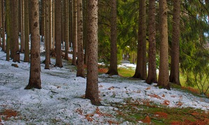 zwischen Winter und Frühling