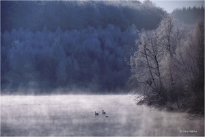 Wintermärchen