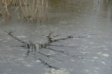 Meteoriteneinschlag