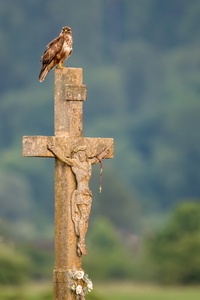 Wächter überm Kreuz