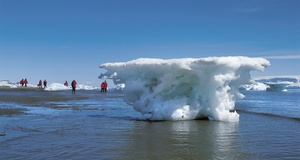 Tod eines Eisberges