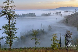 Ein Hauch von Herbst