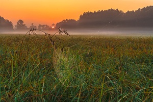 Septembermorgen