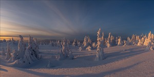 Winter in Lappland