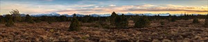 Hochmoor mit Bergblick in voller Breite